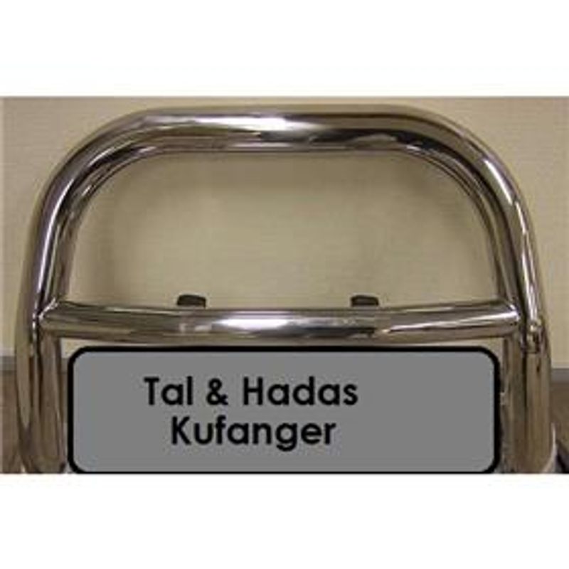 Grill Guard Toyota Hiace